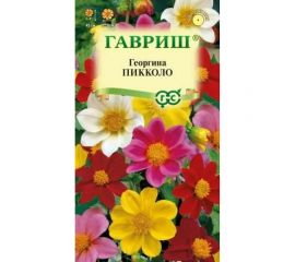 Семена ГАВРИШ Георгина Пикколо, смесь 0.3 г 10000605 