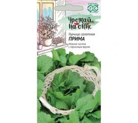 Горчица листовая ГАВРИШ Прима 1 г Урожай на окне 10002211 