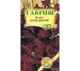Колеус ГАВРИШ Блэк Драгон 4 шт, Элитная клумба 1071857903 