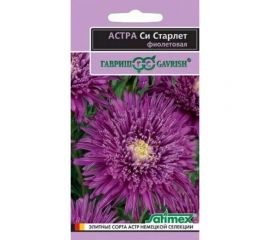 Семена ГАВРИШ Астра Си Старлет Эксклюзив, фиолетовая, однолетняя, 0.05 г 1071856754 