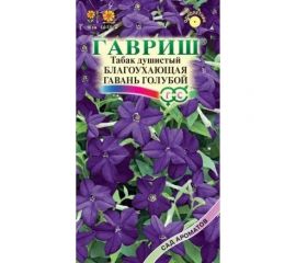Семена ГАВРИШ Табак Благоухающая гавань, голубой крылатый, 4 шт., пробирка, серия Сад ароматов 1071858206 