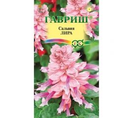 Семена ГАВРИШ Сальвия Лира 4 шт. 1071858183 