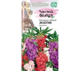Бальзамин ГАВРИШ Экзотик садовый карлик. 0.1 г Чудесный балкон 10006446 