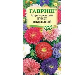 Астра ГАВРИШ Букет школьный, однолетняя срезочная смесь 0.3 г 10006950 