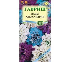 Иберис ГАВРИШ Александрия 0.1 г Альпийская горка DH 1071857687 