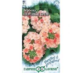 Вербена ГАВРИШ Персик и Крем, гибридная 0.05 г Устойчив к заморозкам 002433 
