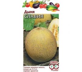 Дыня ГАВРИШ Славия 1 г DH 1999946622 