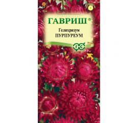 Семена ГАВРИШ Гелихризум Пурпуреум 0.1 г 1071857499 
