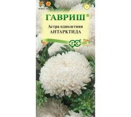 Семена ГАВРИШ Астра Антарктида, однолетняя (пионовидная белая), 0.3 г 002698 
