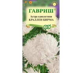 Астра ГАВРИШ Краллен Бирма, однолетняя, коготковая кремовая, 0,3 г 2802 
