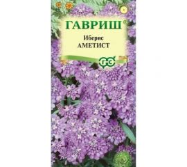 Иберис ГАВРИШ Аметист 0.1 г DH 1071857688 