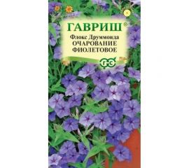 Семена ГАВРИШ Флокс Очарование фиолетовое, Друммонда, 0,05 г 10006744 