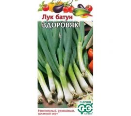 Лук ГАВРИШ батун Здоровяк 0.5 г 1071856549 