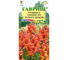 Семена ГАВРИШ Антирринум (Львиный зев) Золото инков 0.05 г 1071856893 
