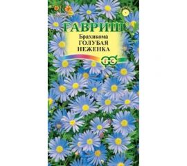 Семена ГАВРИШ Брахикома Голубая неженка 0.02 г 1071856819 