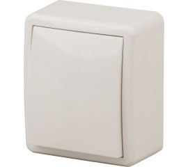 Выключатель ЭРА 11-1201-02 10АХ-250В, IP20, ОУ, Эксперт, слоновая кость Б0020655 