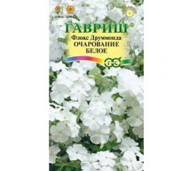 Семена ГАВРИШ Флокс Очарование белое, Друммонда 0.05 г 10006770 