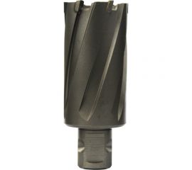 Сверло кольцевое (29х55 мм; TCT; Weldon 19/One-touch) Euroboor HMLU.290 