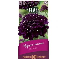 Семена ГАВРИШ Скабиоза пурпурная Чёрное манто, махровая, 0.2 г, серия Блэк 1026995019 