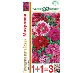 Семена ГАВРИШ Гвоздика китайская, Махровая, смесь 0.4 г серия 1+1 1071857793 