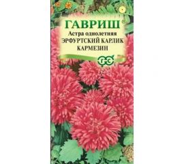 Семена ГАВРИШ Астра Эрфуртский карлик Кармезин, однолетняя (красная), 0,3 г 00001722 