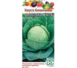 Семена ГАВРИШ Капуста белокочанная Зимовка 1474 0.1 г, для хранения 1071856472 