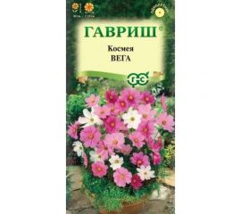 Космея ГАВРИШ Вега, бело-розовая смесь 0,5 г 1814 