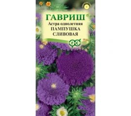 Астра ГАВРИШ Пампушка сливовая, однолетняя помпонная 0.3 г 10006544 