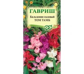 Семена ГАВРИШ Бальзамин Том Тамб садовый карлик. 0.1г 10006445 
