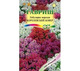 Семена ГАВРИШ Лобулярия Королевский ковер 0.05 г серия Сад ароматов 1071858055 