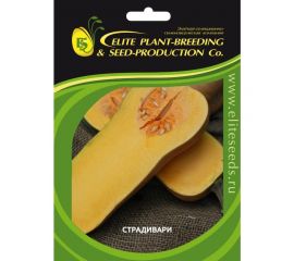 Страдивари семена тыквы 20 шт ЭС мини ELITE PLANT-BREEDING & SEED PRODUCTION Co. 1999943788 
