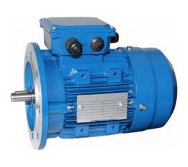 Электродвигатель 5АИ 63 В2 0.55/3000 IM 3081 01.01.216684 