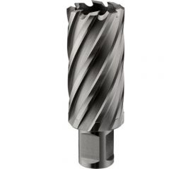 Фреза кольцевая HSS (26x55 мм; Weldon 19) ROTORICA RT.4215026 