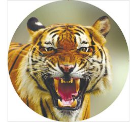 Чехол запасного колеса SKYWAY тигр 2 R15 экокожа полиэстер S06301034 