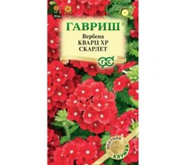 Вербена ГАВРИШ Кварц XP Скарлет, гибридная 4 шт, серия Элитная клумба 1071857136 
