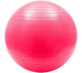 Гимнастический мяч Iron People IR97403 55 см 2000027196883 