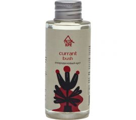 Наполнитель для ароматического диффузора ARIDA HOME Смородиновый куст, 100 мл АР 100-118 