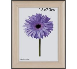 Пластиковая рамка ООО Изометрика Dominica 70x100 см бежевый 0042-70-2493 