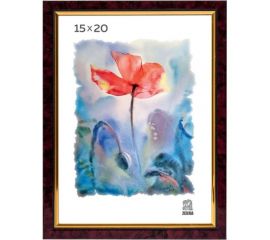 Пластиковая фоторамка Зебра PS_202_15x20 X7483451 