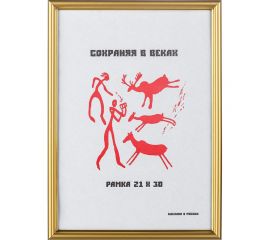 Пластиковая рамка ООО Комус 590 21x30 см A4 золото 1008942 