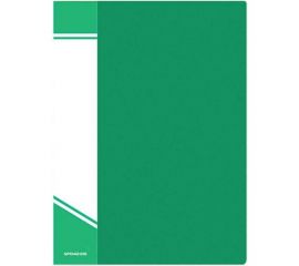 Папка INFORMAT с файлами А4 10 файлов зеленый пластик 500 мкм карман NP0142-10G 