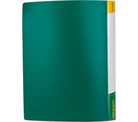 Папка INFORMAT с файлами, А4, 30 файлов, зеленая, пластик, 500 мкм, карман NP0151-30G 