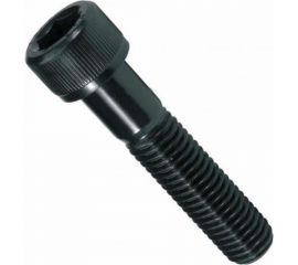 Винт ЦКИ DIN 912, М22x60 12.9, ОКС, HEX 17 2 шт. 20570 