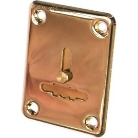 Декоративная накладка APECS DP-S-01-G-shutter 16345 