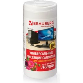 Универсальные чистящие салфетки для экранов и пластика BRAUBERG Астра 511689 