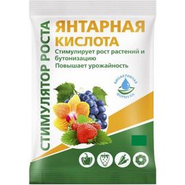 Янтарная кислота БиоМастер 4 г УП000002184 