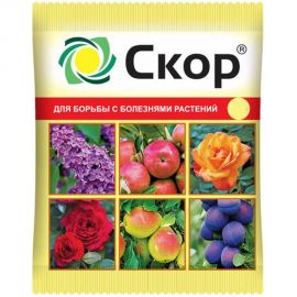 Фунгицид для защиты плодовых культур от комплекса болезней Скор 2 мл Ваше Хозяйство 4680028943853 