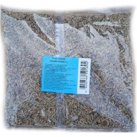 Семена Green Deer рожь озимая 1 кг 4620766501694 