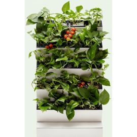 Автономная система озеленения Green Helper GWA-20Wi-Fi 