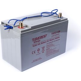 EVEREST Energy Тяговые аккумуляторные батареи TNE 12-125 